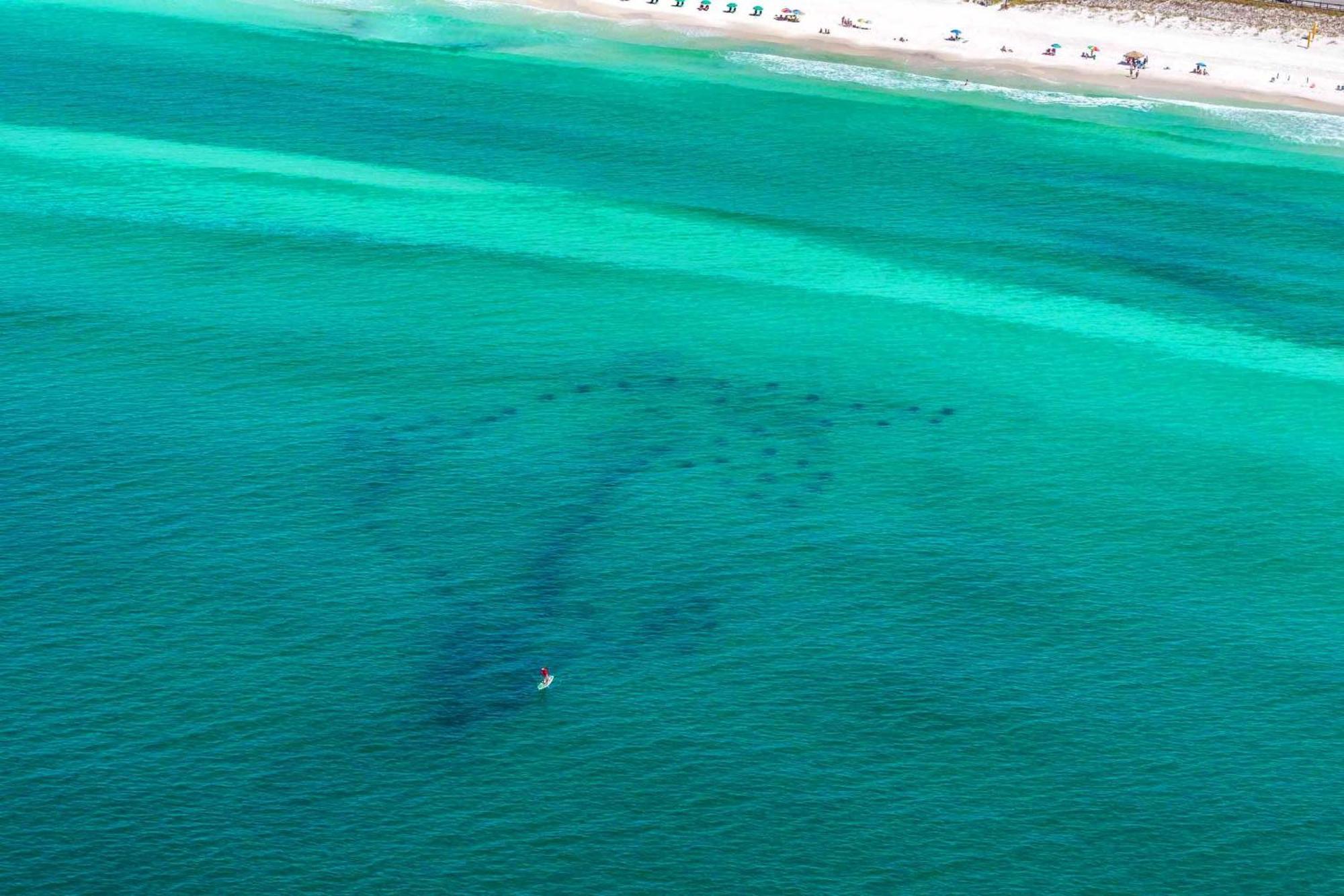 Shore Enough Destin Buitenkant foto